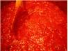 Bev's Own Tomato Sauce. Recipe by Bev