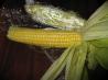 Easy (Better Than Boiled) Corn on the Cob. Recipe by princesslisa of a galaxy far far away