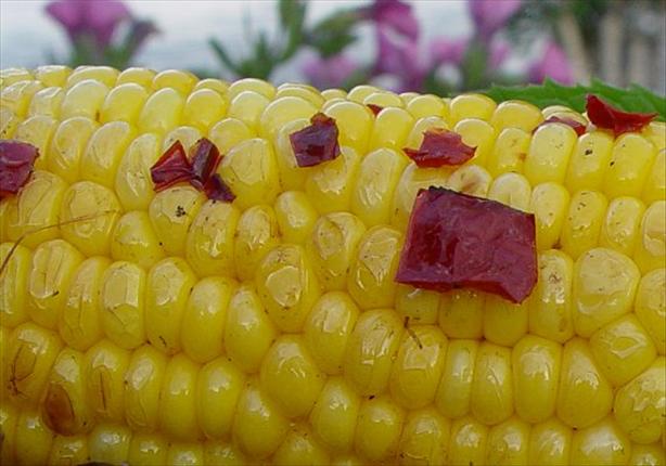 White Corn on the Cob Seasoned With Chipotle Peppers and Butter!. Photo by Beautiful BC