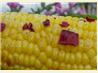 White Corn on the Cob Seasoned With Chipotle Peppers and Butter!
