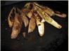 Sweet Potato Wedges