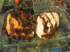 BBQd Bacon-Wrapped Pork Fillet