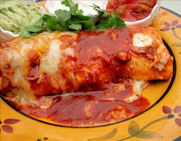 Chicken and Refried Bean Enchiladas. Photo by lazyme