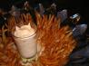 Outback Steakhouse Bloomin' Onion