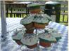 Patriotic 4th of July Cupcakes