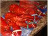 Maine Boiled Lobsters