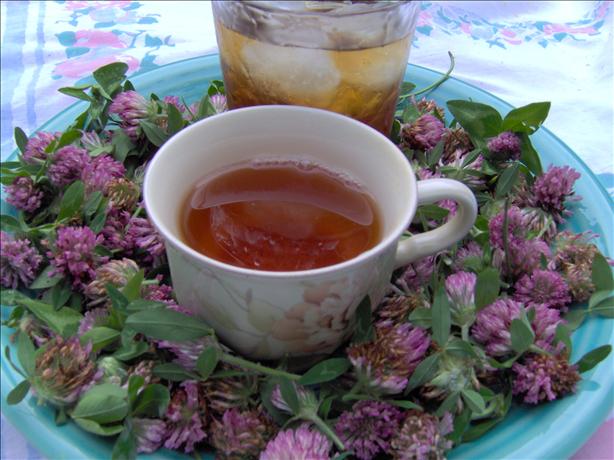 Red Clover Tea. Photo by Sharon123