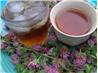 Red Clover Tea