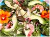 Shrimp, Avocado, Almonds, Apple Chips, & Nasturtium Salad