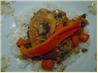 Baked Chicken Teriyaki. Recipe by Happy Harry #2