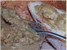 Roasted Garlic and Pepper Paste. Recipe by Pets'R'us