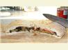 Stuffed Focaccia With Roasted Eggplant and Oregano. Recipe by Cynna
