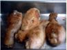 Aunt Rose's Fried Oven Chicken. Recipe by tuttifrutti