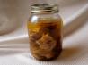 Jean's Preserved Root Ginger