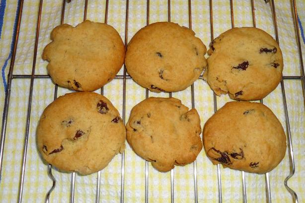 Sultana Biscuits (Cookies). Photo by SMG65