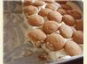 My Best Banana Pudding Dessert