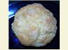 Very Vanilla Muffins