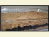 Blueberry Dessert Pizza