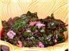 Chard With Bacon Dressing