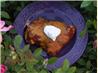 Easy Taco Salsa Chicken  Breasts. Recipe by Kittencalskitchen