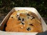Blueberry Pudding Loaf