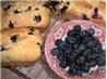 Blueberry Pudding Loaf