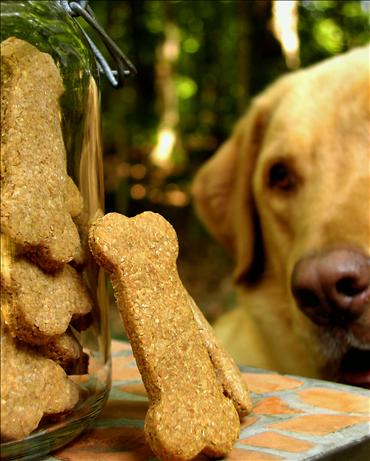 Special Occasion Dog  Bones / Biscuits. Photo by GaylaJ