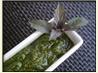 Pesto