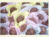 Brownie Truffles. Recipe by Chef Mommie