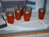 Apricot Almond Cinnamon Jam