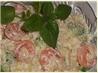 Orzo Shrimp Salad