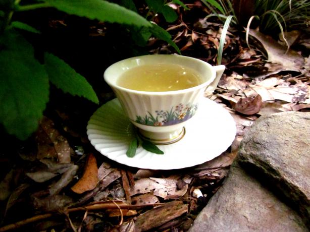 Sage Tea. Photo by gailanng