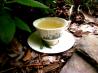 Sage Tea