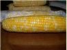 Uncle Bill's Corn on the Cob - Microwave