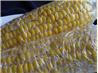 Uncle Bill's Corn on the Cob - Microwave