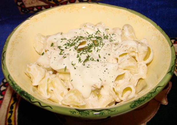 Creamy Parmesan Cheese Sauce. Photo by Boomette