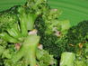 Microwave Lemon Garlic Broccoli