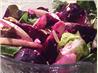 Roasted Beet, Pear and Feta Salad