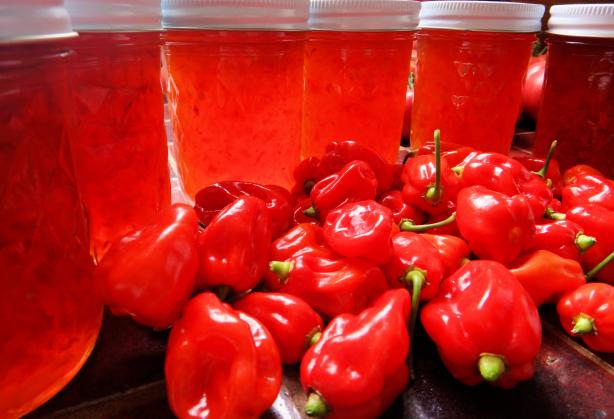Habanero Gold Jelly. Photo by Comedie