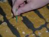 Dog Treats