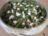 Fresh Spinach and Couscous Salad/Feta Cheese. Photo by ranch-girl