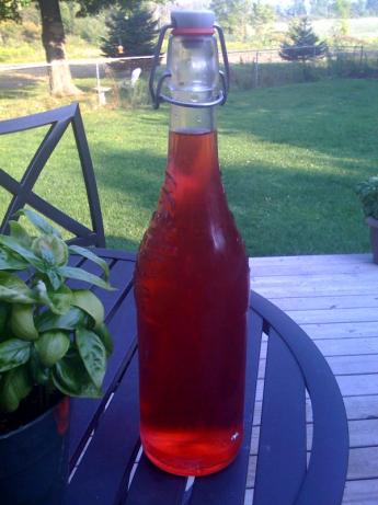 Rhubarb Vodka. Photo by Chef Regina V. Smith