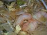 Paad Thai - Shrimp (Stir-Fried Thai Noodles). Recipe by PanNan
