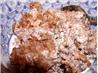 Chocolate Rice Pudding. Recipe by bluemoon downunder