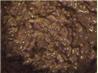 Chocolate Rice Pudding