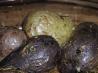 Roasted New/ Fingerling Potatoes