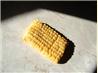 Paula Deen's Zesty Cheese Straws