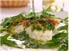 Roasted Halibut With Fresh Herb Sauce