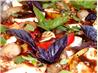 Tomatoes With Roasted Garlic, Pearl Onions and Mozzarella Cheese
