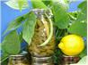 Green Beans With Lemon Peel. Recipe by lets.eat